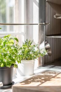 Hyra lantligt boende i Höga Kusten