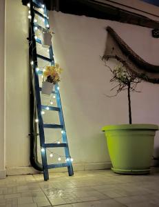 SFEA HOME