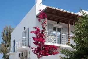 Paros Hospitality by the sea - Ubytování bez kategorie ve městě Kampos