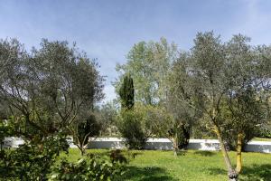 Maisons de vacances Villa Sena Eyragues, familiale : photos des chambres