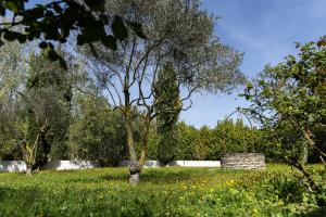 Maisons de vacances Villa Sena Eyragues, familiale : photos des chambres