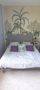 Noël et les fêtes au soleil studio Phannie cosy et douillet 50m des cures