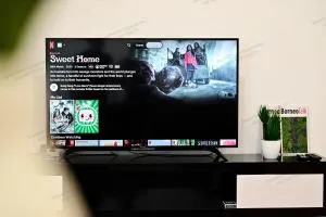 Kuching Vivacity Jazz 1 Netflix - Kampong Tabuan