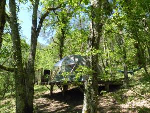 Arborea, nuits insolites au cœur de la forêt