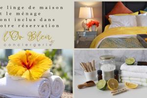 Appartements Charmant studio Mistral - Acenseur - Centre-ville : photos des chambres