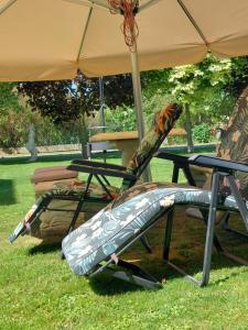 Noclegi Szczebrzeszyn