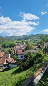 Ferienwohnungen Bühlertal