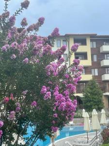 Райска Градина, Sveti Vlas, apartment Silvia