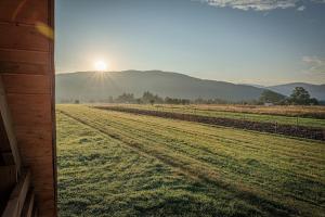 Domki u Anitki i Nikosia