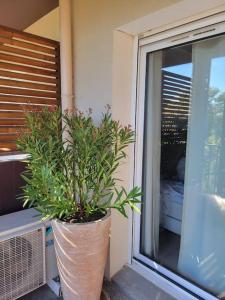 appartement pont du Gard, Remoulins