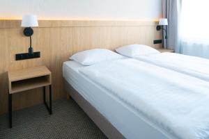 Economy Double Room room in Hotel Continental