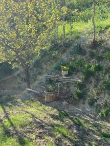 LAngolo Belvedere