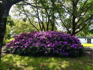 Sejours chez l'habitant 1 2 3 Chambres entre la Presqu ile de Rhuys et le Golfe du Morbihan : photos des chambres