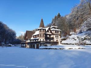 Maisons de vacances Le Saint moulin de La Petite Pierre : photos des chambres