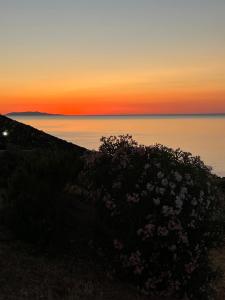 Villa Dolce Vita img80