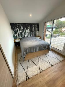 Maisons de vacances La Cigale - Maison (8 pers) au Lac de Lacanau : photos des chambres