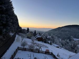 Ferienwohnung Alpenblick