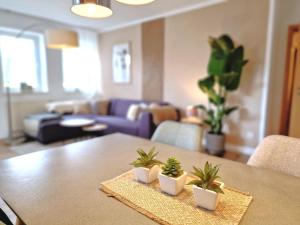 Eigene Sauna 2 Schlafzimmer sehr zentral WinterbergHome