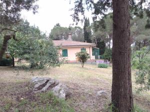 Piccolo appartamento immerso nella campagna