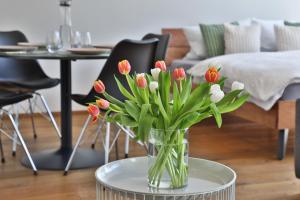 Moderne Studio-Wohnung - Lichtblick