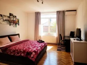 House with garden - Şura Mare