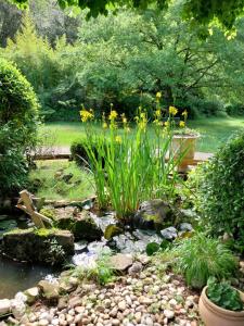 Chalets Natur'anes : photos des chambres