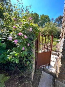 Maisons d'hotes Domaine du tertre ychot : Maison 1 Chambre
