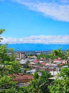 HillTop Guest House Kutaisi
