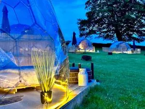 Deerstone Glamping-Boulsworth Hill Dome Hot tub - 吉斯本