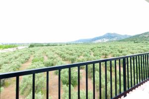 1141 Mas Oliva - Apivend Immo