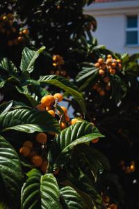 Apartment LovRich Trogir