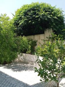Jerash air apartment