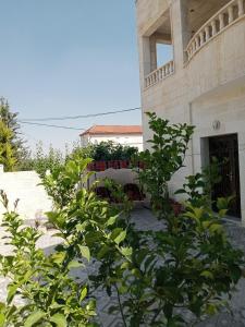 Jerash air apartment