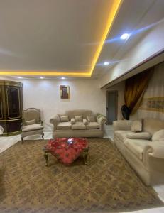 شقة فندقية مميزة بالمنصورة