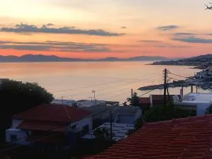 Naja's Studio - Сувала