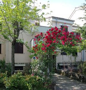 Apartman Adrijana Kastav, free WiFi & parking, 2 bedrooms & sea view 