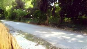 Maisons de vacances La Cigale - Maison (8 pers) au Lac de Lacanau : photos des chambres