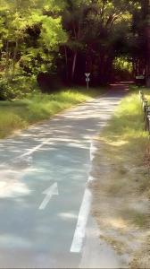 Maisons de vacances La Cigale - Maison (8 pers) au Lac de Lacanau : Maison de Vacances 4 Chambres