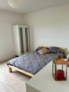 Appartements Le spacieux : photos des chambres