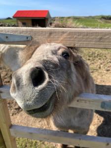 Riverfield Apartment