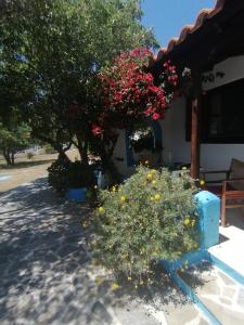 Studios Ioanna Limnionas Samos