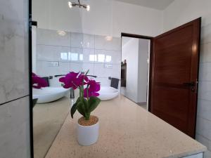 Oceanview Kite Garden Rooftop Appartment