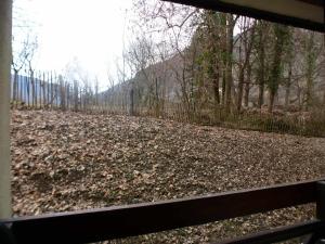 Studio cosy avec balcon et wifi, animaux admis - FR-1-512-233