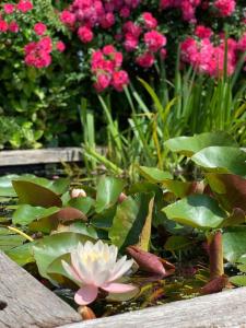 King Room at Machrimore
