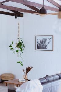 Newly renovated 1970s house Dog and kid friendly