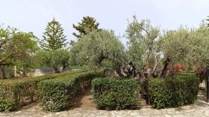 Villa Il Giardino di Rosa- 5 Min from the sea-Fraginesi