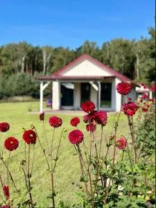 Domki Letniskowe Między Jeziorami w Lipnicy - Giewartów
