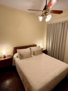 Laprida, departamento céntrico, Planta baja