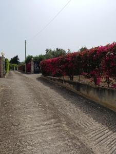 Villa Il Giardino di Rosa- 5 Min from the sea-Fraginesi