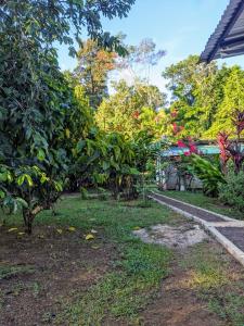 Ana Paraíso entre Arboles